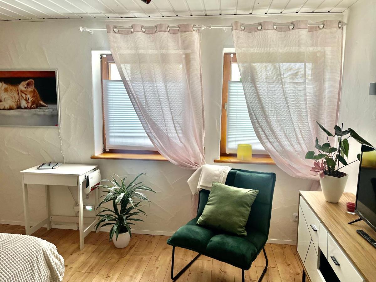 Apartment Balingen City Екстериор снимка